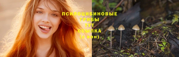 Альфа ПВП Майский