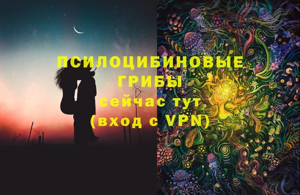 Альфа ПВП Майский