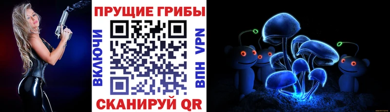 Галлюциногенные грибы Psilocybine cubensis  Конаково 